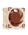 Noctua NF-A4x20 5V PWM - nr 1