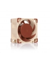 Noctua NF-A4x20 5V PWM - nr 3
