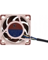 Noctua NF-A4x20 5V PWM - nr 40