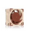 Noctua NF-A4x20 PWM - nr 1