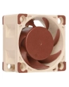Noctua NF-A4x20 PWM - nr 25