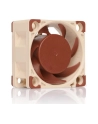 Noctua NF-A4x20 PWM - nr 32