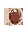 Noctua NF-A4x20 PWM - nr 41
