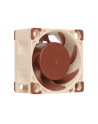 Noctua NF-A4x20 FLX - nr 92