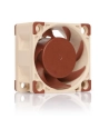 Noctua NF-A4x20 FLX - nr 92