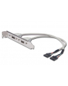assmann Kabel na śledziu USB 2.0 HighSpeed Typ 2xIDC (5pin)/2xUSB A M/Ż szary 0,25m - nr 1
