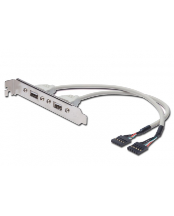 assmann Kabel na śledziu USB 2.0 HighSpeed Typ 2xIDC (5pin)/2xUSB A M/Ż szary 0,25m