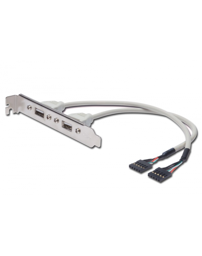 assmann Kabel na śledziu USB 2.0 HighSpeed Typ 2xIDC (5pin)/2xUSB A M/Ż szary 0,25m główny