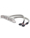 assmann Kabel na śledziu USB 2.0 HighSpeed Typ 2xIDC (5pin)/4xUSB A M/Ż szary 0,25m - nr 14