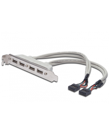 assmann Kabel na śledziu USB 2.0 HighSpeed Typ 2xIDC (5pin)/4xUSB A M/Ż szary 0,25m