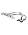 assmann Kabel na śledziu USB 2.0 HighSpeed Typ 2xIDC (5pin)/4xUSB A M/Ż szary 0,25m - nr 16