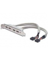 assmann Kabel na śledziu USB 2.0 HighSpeed Typ 2xIDC (5pin)/4xUSB A M/Ż szary 0,25m - nr 17