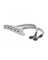 assmann Kabel na śledziu USB 2.0 HighSpeed Typ 2xIDC (5pin)/4xUSB A M/Ż szary 0,25m - nr 18