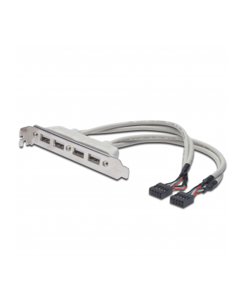 assmann Kabel na śledziu USB 2.0 HighSpeed Typ 2xIDC (5pin)/4xUSB A M/Ż szary 0,25m