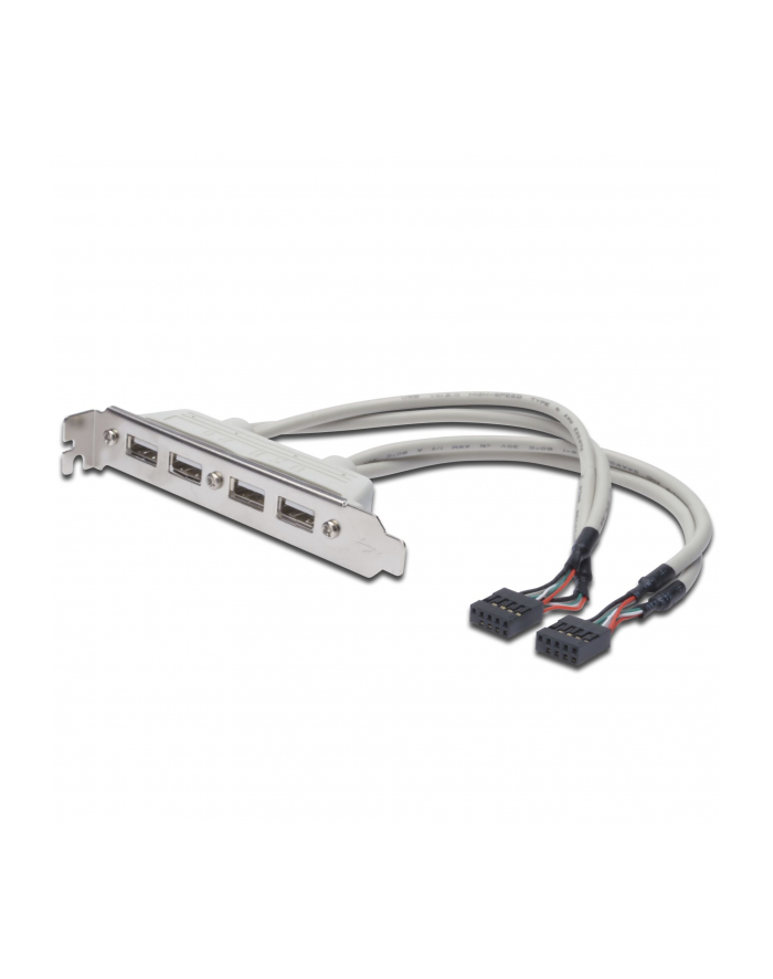 assmann Kabel na śledziu USB 2.0 HighSpeed Typ 2xIDC (5pin)/4xUSB A M/Ż szary 0,25m główny