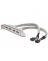 assmann Kabel na śledziu USB 2.0 HighSpeed Typ 2xIDC (5pin)/4xUSB A M/Ż szary 0,25m - nr 8