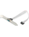 assmann Kabel na śledziu RS232 Typ DSUB9/2xDIN5 M/Ż szary 0,25m - nr 6