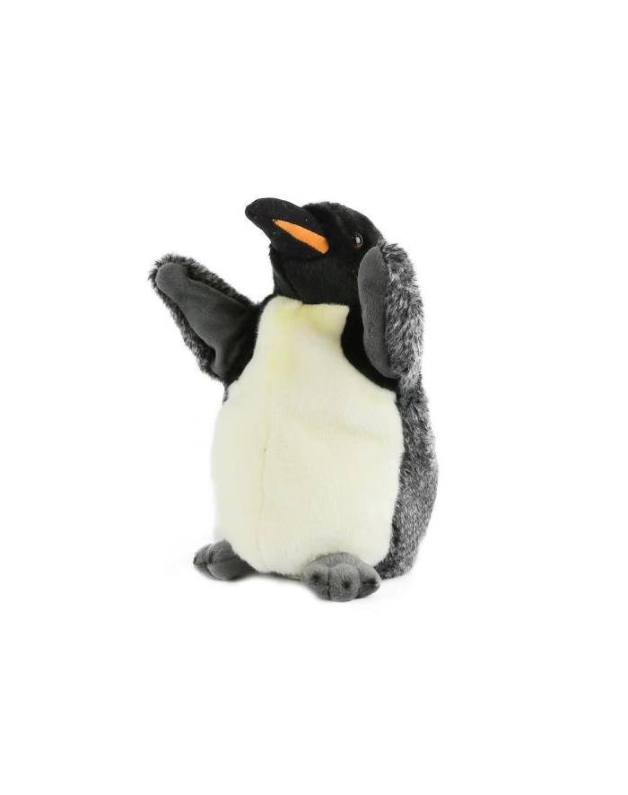 Pacynka Pingwin królewski DANTE główny
