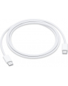 apple Przewód USB-C do ładowania (1 m) - nr 13