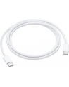 apple Przewód USB-C do ładowania (1 m) - nr 19