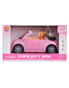euro-trade Auto osobowe z lalką św/dź. 33x19x16cm WY580A MC - nr 1