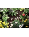 Gardena Micro-Drip-System naziemna linia kroplująca 4.6mm, 15m (1362) - nr 3