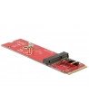 DeLOCK converter Key M St>M.2 E Slot - nr 21