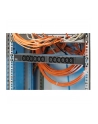 Bachmann power strip 19 '' 1HE 333.616 - 12xC13 lock - nr 11
