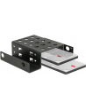 DeLOCK mounting frame 2x 2.5'' to 5.2'' black - nr 11