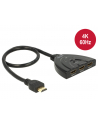 DeLOCK Splitter 1xHDMI in>3xHDMI 4K - nr 12