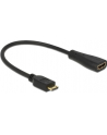 DeLOCK HDMI - mini C St-Bu 23cm - nr 13