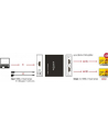 DeLOCK Splitter HDMI blue > 2x HDMI blue 4K - nr 28