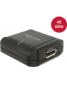 DeLOCK DP1.2 Repeater 4K 60 Hz - nr 16