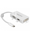 DeLOCK Adap. C St>VGA/HDMI/DVI blue wh - nr 12