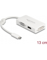 DeLOCK Adap. C St>VGA/HDMI/DVI blue wh - nr 20