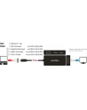 DeLOCK C St > VGA/HDMI/DVI DP blue - black - nr 20