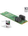DeLOCK converter B+M St > 2x SATA 7P - RAID with housing - nr 17