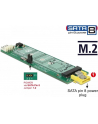 DeLOCK Konv SATA Pin8 blue>M.2 B Slot - nr 25