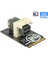 DeLOCK Adap. Key M>SFF-8643 NVMe - horizontal - nr 13