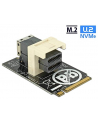 DeLOCK Adap. Key M>SFF-8643 NVMe - horizontal - nr 21