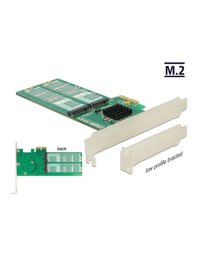 DeLOCK PCIe x2>4x M2 B Profile - form factor główny
