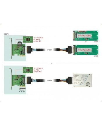 DeLOCK PCIe x4 card>1x int. NVMe blue - SFF-8639