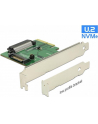 DeLOCK PCIe x4 card>1x int. NVMe blue - SFF-8639 - nr 14