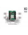 DeLOCK Adapter M.2. B+M ST>Hybrid 4x SATA - RAID - nr 15