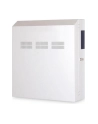 Digitus 19 ''wall cabinet slim 800x640 6U - 7035 - nr 16