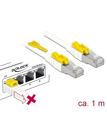 DeLOCK RJ45 Secure Cat. 6A 1m