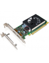 LENOVO GEFORCE GT730 2GB DUAL DP HP AND LP GRAPHICS CARD - nr 11