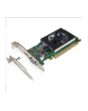 LENOVO GEFORCE GT730 2GB DUAL DP HP AND LP GRAPHICS CARD - nr 1
