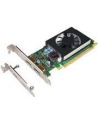 LENOVO GEFORCE GT730 2GB DUAL DP HP AND LP GRAPHICS CARD - nr 7