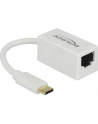 DeLOCK USB 3.1 with USB C St> RJ45 Bu white - nr 13